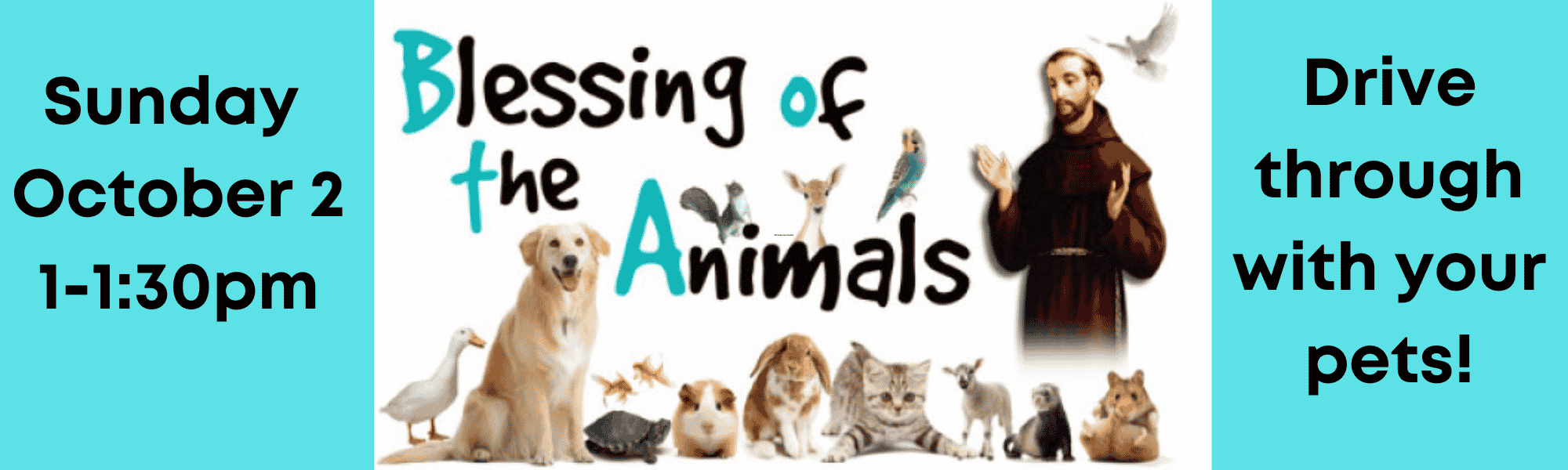 Blessings of the Animals St. Simon Catholic Parish